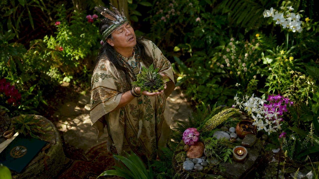 The Role of Vibration in Plant Ceremony: A Seeker's Guide